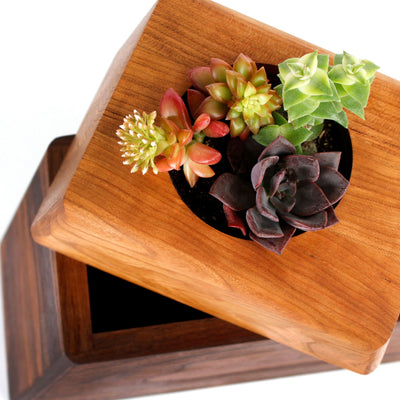 The Living Urn Planter - Two Rivers