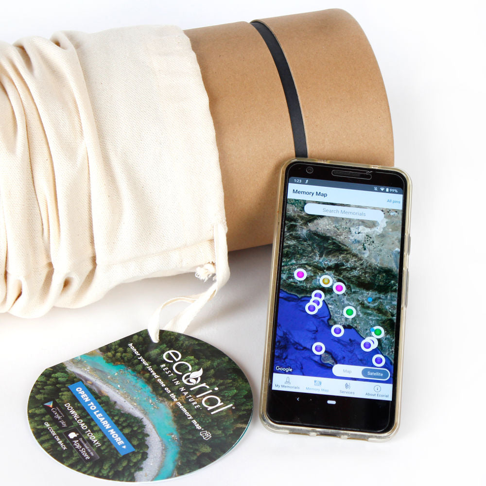 Beach Memories Scattering - Bunker