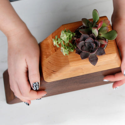 The Living Urn Planter - Colorado Burial Preserve