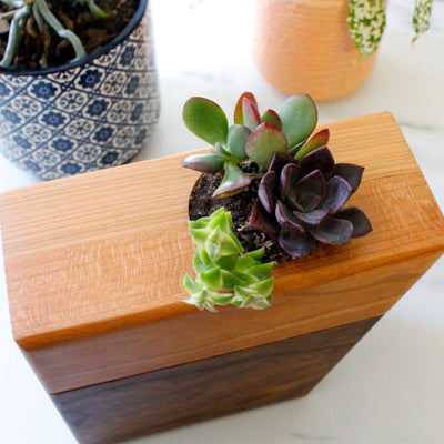 The Living Urn Planter - Natural Grace