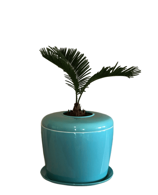 The Living Urn Indoors / Patio - Blake