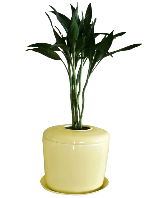 The Living Urn Indoors / Patio - Teraloom