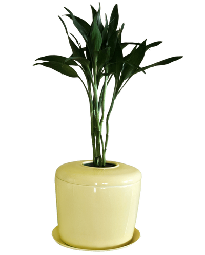 The Living Urn Indoors / Patio - Bunker