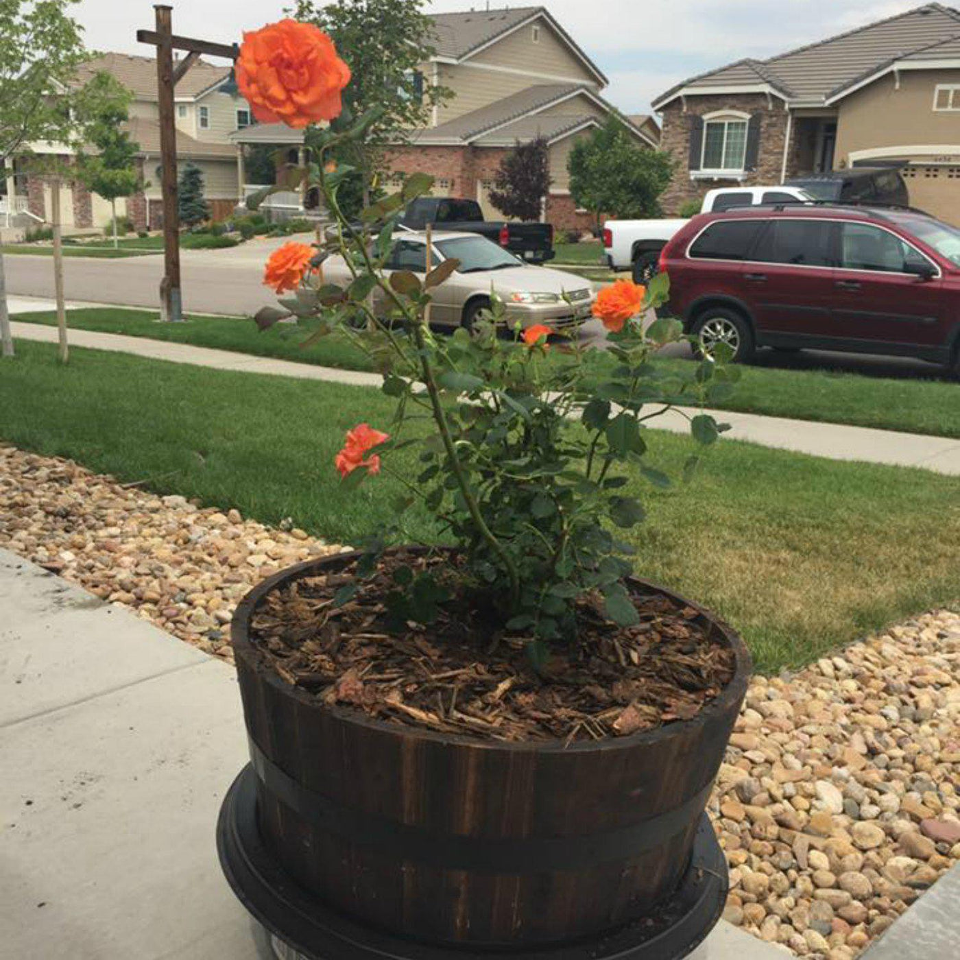 The Living Urn® - Messenger