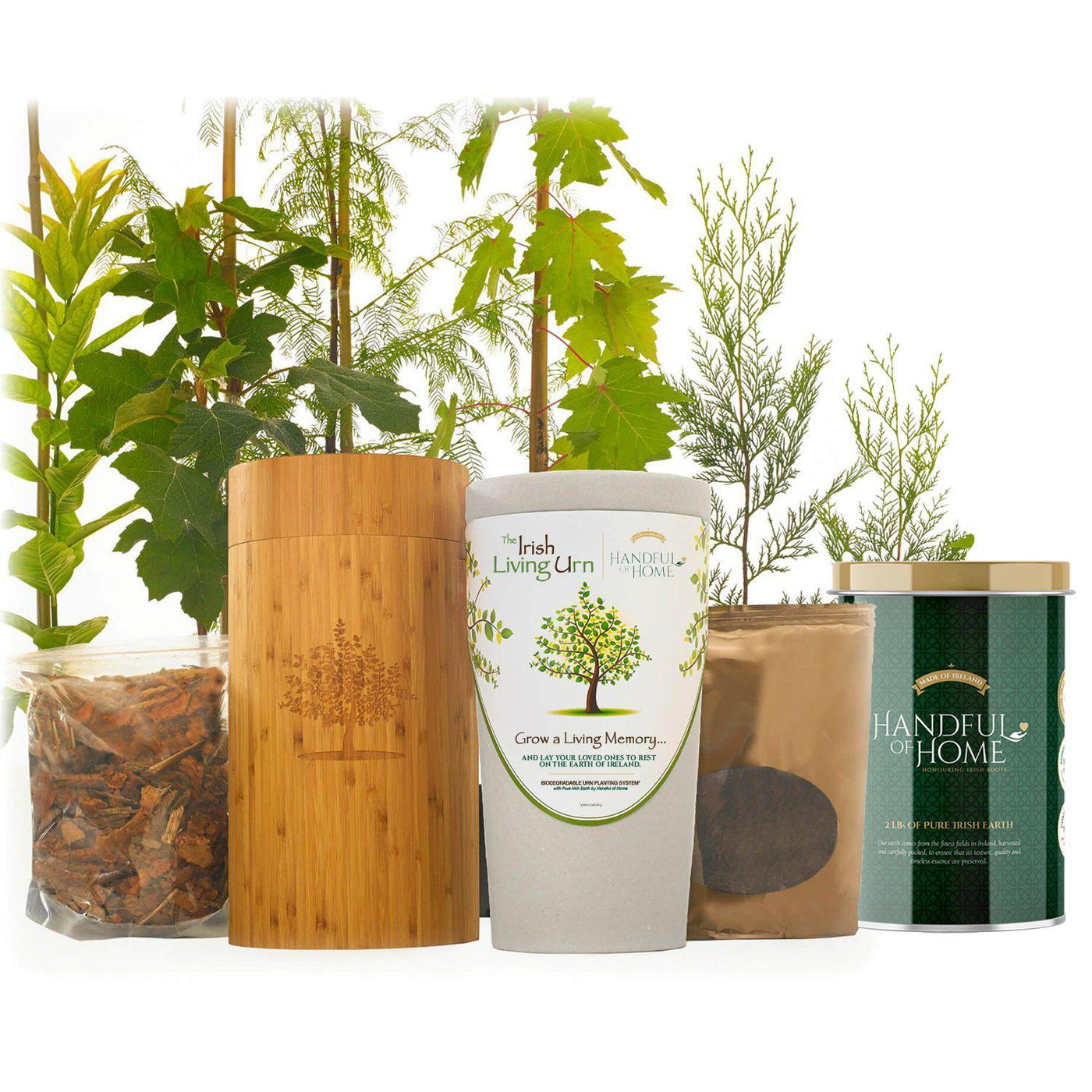 The Irish Living Urn - Greenhaven