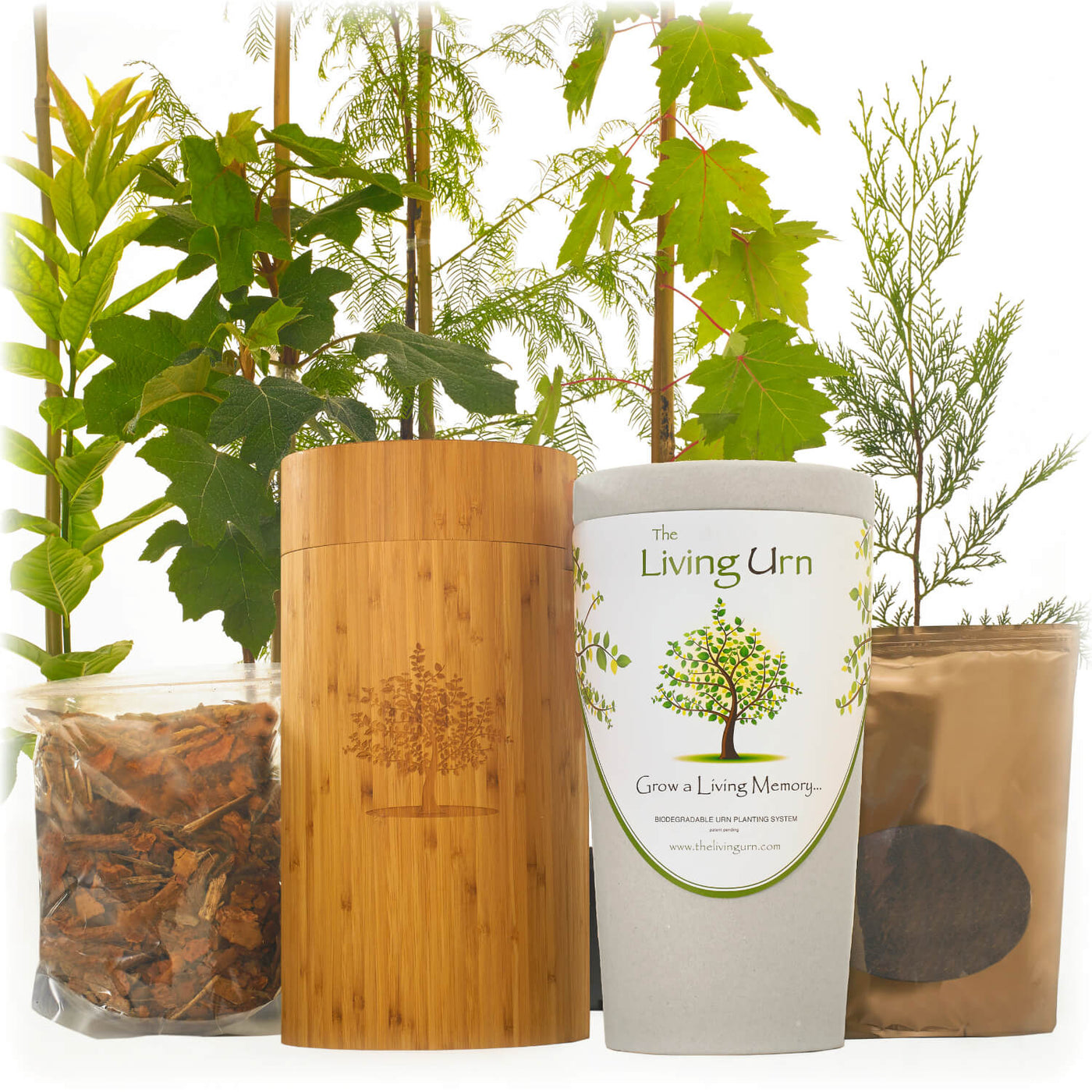 The Living Urn with a Voucher for a Tree - Simple Pets