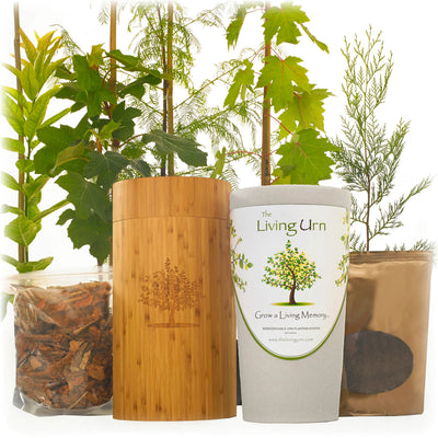 Living Urn System Only (use with your own tree, plant or flowers) - Natural Grace