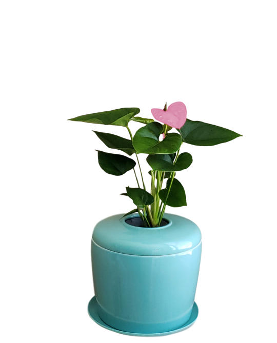 The Living Urn Indoors / Patio - Heaven Bound