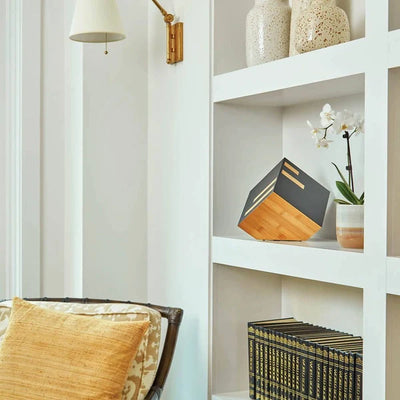 The Icon - Natural Grace